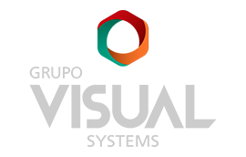 Visual Systems